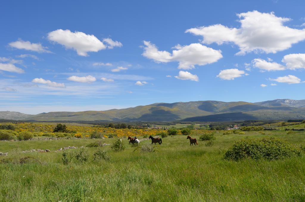 Casa Rural La Casa De Piedra Vendégház Navarredonda de Gredos Kültér fotó