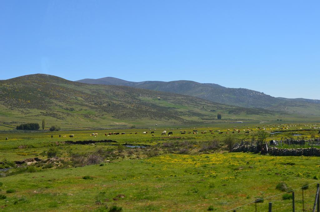 Casa Rural La Casa De Piedra Vendégház Navarredonda de Gredos Kültér fotó